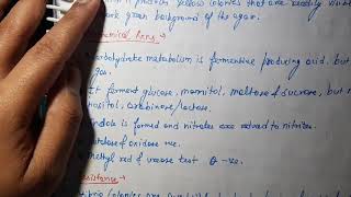 Vibrio Cholerae Microbiology [upl. by Utter]