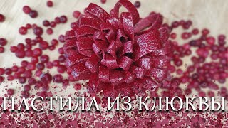 ПАСТИЛА ИЗ КЛЮКВЫ [upl. by Ordnaxela]