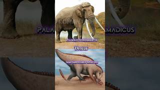 Palaeoloxodon vs Shantugosaurus paleontology animals 1v1 dinosaur elephant fyp [upl. by Ramsa721]