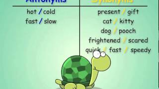 Antonyms and Synonyms [upl. by Persons]