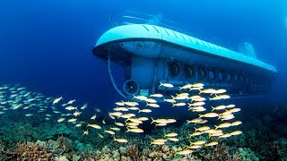 Atlantis Submarine Adventure in Oahu Hawaii [upl. by Twum]