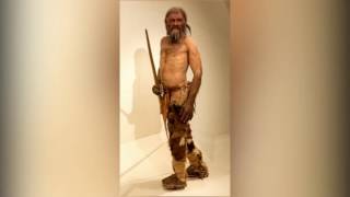 Did 5300 years old Snow man Otzi spoke Tamil [upl. by Georgi]