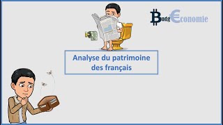 Analyse du patrimoine des français INSEE [upl. by Georg]