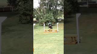 cass eventing equestrian horsebackriding horseriding riding [upl. by Ahsinyar]