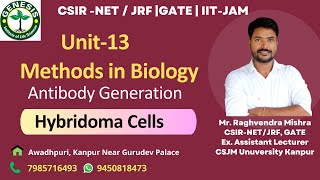 Antibody generation  Hybridoma Cells  Monoclonal Antibodies  Methods in Biology  L1 [upl. by Mathe]