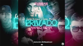 Rvssian  Privado ft Nicky Jam Farruko Arcangel Konshens Mambo Remix [upl. by Trebbor528]