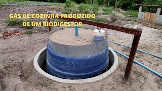 BIODIGESTOR CASEIRO QUE PRODUZ GÁS DE COZINHA E LUZ  ATRÁS DAS FEZES DO PORCO [upl. by Libbi]