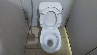 One member limited liability company 129 mens toilet [upl. by Alekim200]