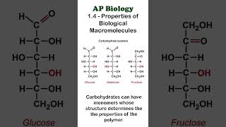 AP Bio  14 Part 3  Carbohydrates apbiology biochemistry [upl. by Arel72]