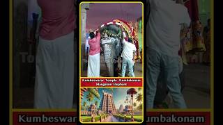 Adi Kumbeswarar Temple Elephant Mangalam  Kumbakonam  Sankarankovil Gomathi Elephant  shorts [upl. by Gardner]