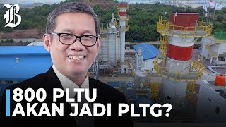 Kejar Net Zero Emission PLN akan Suntik Mati PLTU [upl. by Ssej]