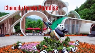 Exploring Chengdu A 2Day Panda Adventure [upl. by Berners32]