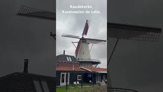 De korenmolen de Lelie anno 1872 netherlands youtubeshorts wind molen tarwa funny lol [upl. by Riancho]