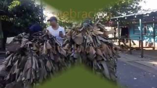 MATACHINES DE MURINDO VERSIÓN 2016 [upl. by Ennaisoj272]