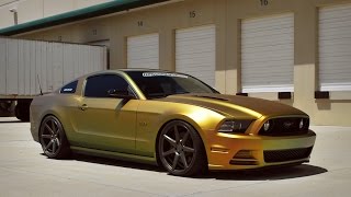 Reptile Plasti Dip Mustang GT [upl. by Alexandra]