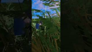 IN THE JUNGLE 1ST HOLE KAPALUA DAILY TOURNAMENT  SHORTS GOLF gaming gamer golfplus viral vr [upl. by Rip]