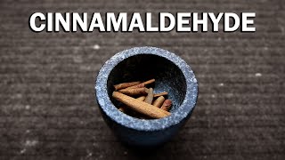 How to extract Cinnamaldehyde from Cinnamon [upl. by Hose]