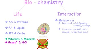 An Introduction to Biochemistry [upl. by Hannie784]