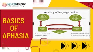 aphasia meaning  types of aphasia  wernickes amp brocas aphasia clinical features aphasia [upl. by Corvin333]