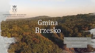 Gmina Brzesko – Multimedialny katalog dziedzictwa kulturowego Małopolski [upl. by Aisereht]