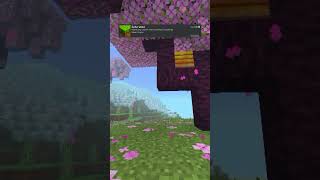 Make your MCPE more saturated I recommended this shader to use minecraft mcpe mcpeshaders [upl. by Kellen]