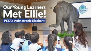 Our Young Learners Met Ellie  Petas Animatronic Elephant officialPETAIndia [upl. by Theodosia]