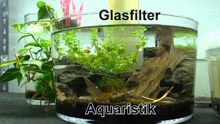 Aquarium Rundglas Glasfilter wird belebt und viele Geschichten aus und mit den Aquarien [upl. by Alonzo]