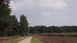 LANDCLUB RUINEN EUROPARCS EN NATIONAAL PARK DWINGELDERVELD [upl. by Anaiv]