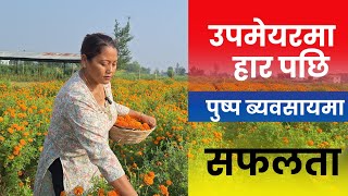 उपमेयरमा हार पछि पुष्प ब्यवसायमा सफलता  nepali floriculture  Tihar  Sayapatri [upl. by Philbo]