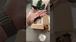 BABY GECKO UNBOXING🦎🖤 [upl. by Dulcine229]