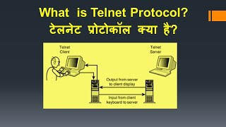 What is Telnet Protocol  टेलनेट क्या है Computer Application code165 Class 10 [upl. by Llewellyn]