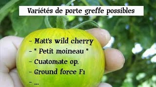 Comment greffer des tomates  greffe de tomate partie 1 [upl. by Teresa]