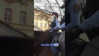 Unterwegs mit der Reiterstaffel polizei pferde polizeikontrolle [upl. by Willey]