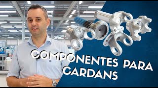 Aplique Certo ZM  Componentes para Cardans [upl. by Topping769]