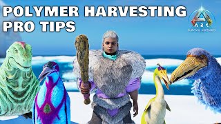 How to get the MOST POLYMER  Island  Ark Survival Ascended [upl. by Surad444]