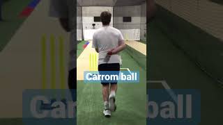 Off spinner vs Carrom ball cricket [upl. by Hanad61]