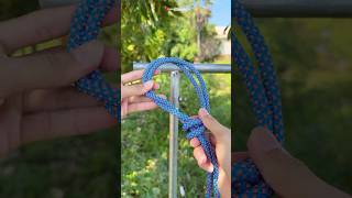 How to tie a bull hitch knot useful tips trending shorts [upl. by Llirpa]