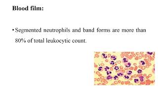 Chronic neutrophilic leukemia [upl. by Ttergram]