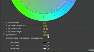 Premiere Pro Saturation  How To [upl. by Attenrad372]