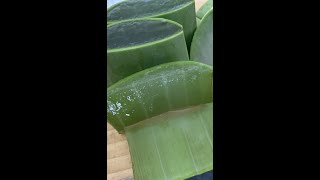 como preparar el aloe vera o sabila antes usar [upl. by Ajssatan816]