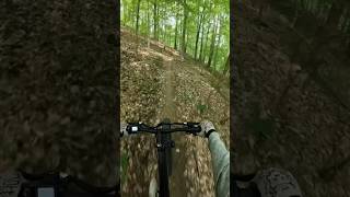 EBike MTB POV [upl. by Moira]