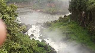 Cataratas del Iguazú Misiones Argentina [upl. by Aicirtap]