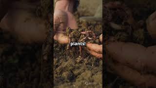 5 Soil Types Every Gardener Should Know in 60 Seconds 🌿🌱SoilTypes GardeningTips GreenThumb [upl. by Beaver]