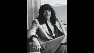 Mary Jane  Rick James FULL INSTRUMENTAL [upl. by Atorod]