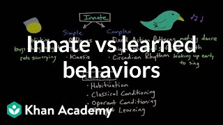 Operant conditioning Innate vs learned behaviors  Behavior  MCAT  Khan Academy [upl. by Orms]