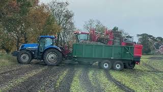 New Holland and Agrifac lifting sugar Beet farming bigmachinery beet [upl. by Nylasor]