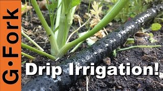 DIY Soaker Hose Drip Irrigation System  GardenFork [upl. by Rolecnahc]