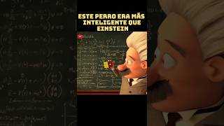 😱 Este perro era más listo que Einstein shorts short movie [upl. by Htrow573]