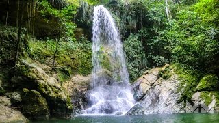 Our Glimpse of Rincón Puerto Rico [upl. by Watters474]