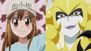 Cells at Work Episode 2 Review  The Scrape Wound Germ Invasion [upl. by Pattani]